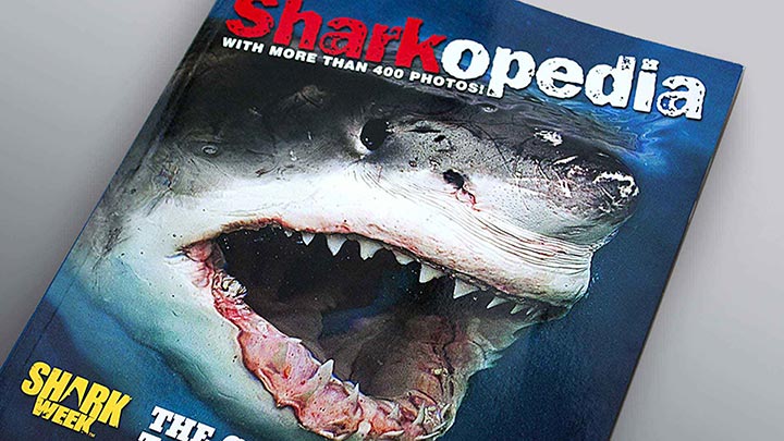 sharkopedia