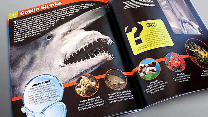 sharkopedia